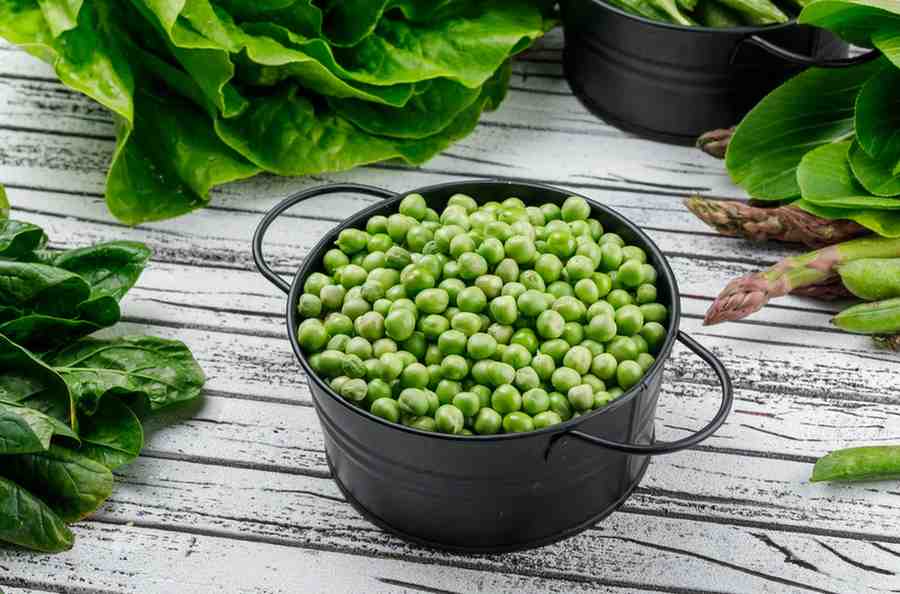 Protein source vegetarian food in india